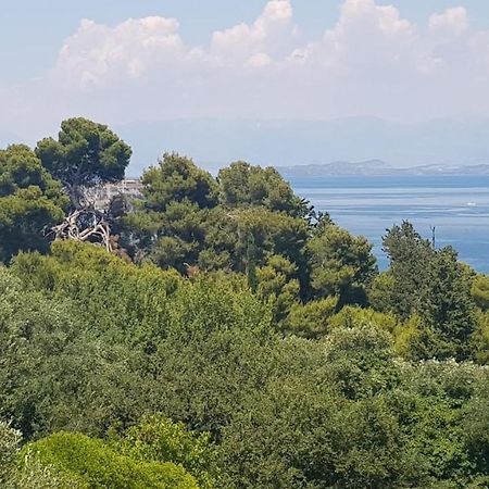 Mon Repos Panorama Apartment Corfu  Exterior photo